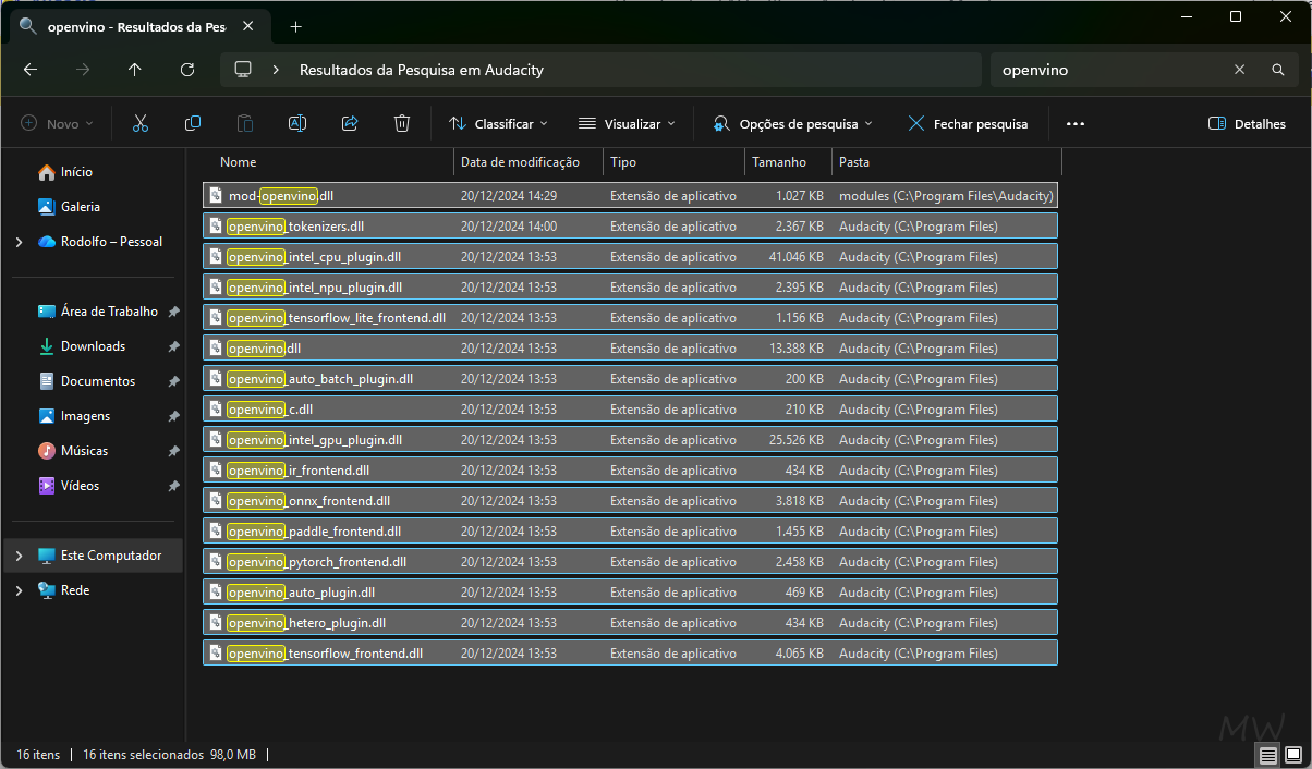 Limpar arquivos restantes do OpenVINO
